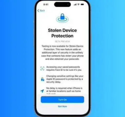 九合垸原种场苹果授权维修店分享被盗设备保护功能开启方法 