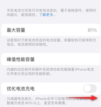 九合垸原种场苹果15维修分享iPhone15充电到80%就充不进电了怎么办 