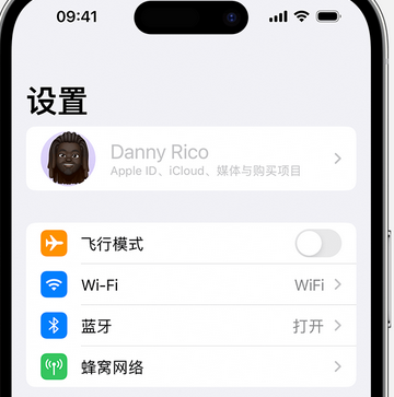 九合垸原种场appleID维修服务iPhone设置中Apple ID显示为灰色无法使用