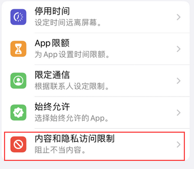 九合垸原种场appleID维修服务iPhone设置中Apple ID显示为灰色无法使用