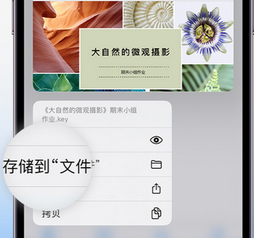 九合垸原种场apple维修中心分享iPhone文件应用中存储和找到下载文件