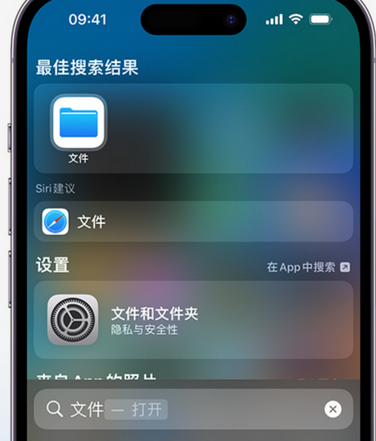 九合垸原种场apple维修中心分享iPhone文件应用中存储和找到下载文件