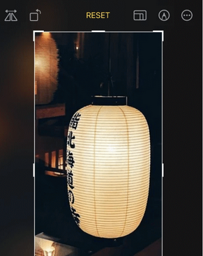 九合垸原种场苹果手机维修店分享iOS17中一键式裁剪功能使用方法