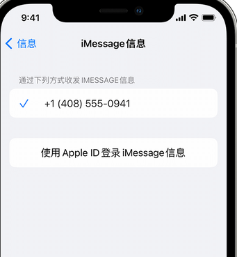 九合垸原种场apple维修iPhone上无法正常发送iMessage信息 