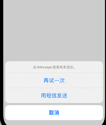 九合垸原种场apple维修iPhone上无法正常发送iMessage信息