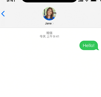 九合垸原种场apple维修iPhone上无法正常发送iMessage信息