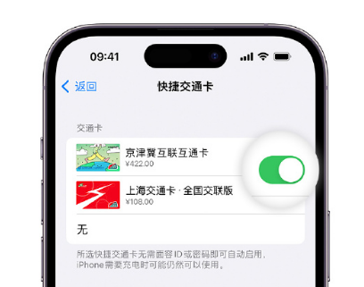 九合垸原种场apple维修点分享iPhone上更换Apple Pay快捷交通卡手绘卡面 