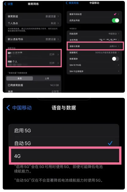 九合垸原种场苹果手机维修分享iPhone14如何切换4G/5G? iPhone14 5G网络切换方法 