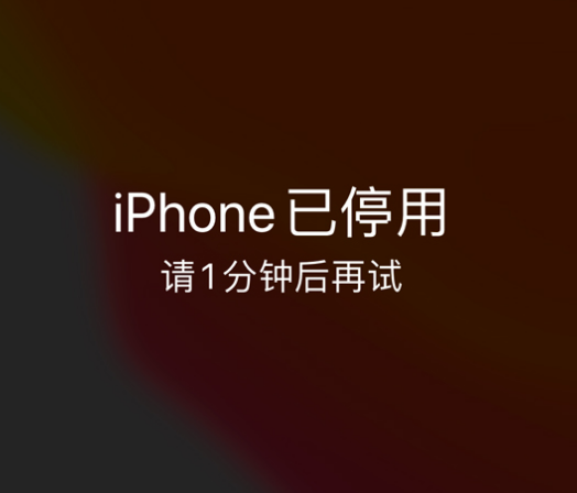 九合垸原种场苹果手机维修分享:iPhone 显示“不可用”或“已停用”怎么办？还能保留数据吗？ 