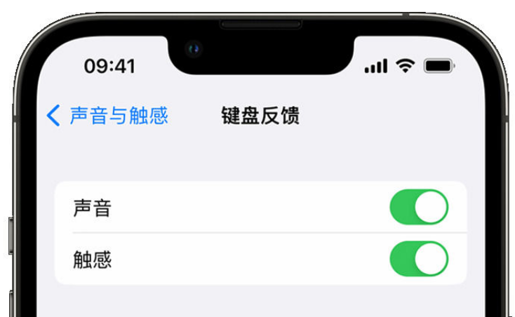 九合垸原种场苹果手机维修分享iPhone 14触感键盘使用方法 