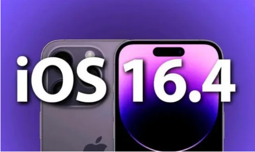 九合垸原种场苹果14维修分享：iPhone14可以升级iOS16.4beta2吗？ 