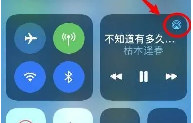 九合垸原种场苹果14维修分享iPhone14连接两副耳机听歌方法教程 