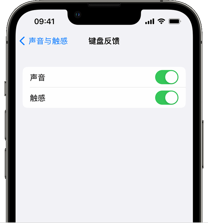 九合垸原种场苹果14维修店分享如何在 iPhone 14 机型中使用触感键盘 