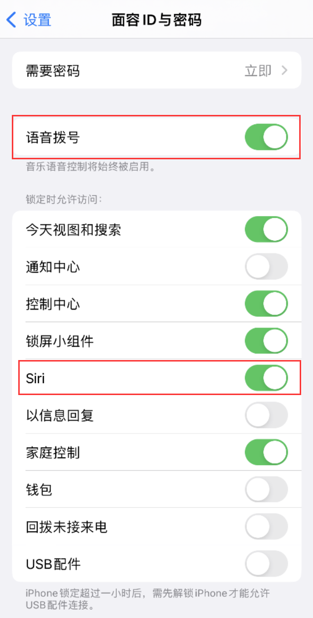 九合垸原种场苹果维修网点分享不解锁 iPhone 的情况下通过 Siri 拨打电话的方法 