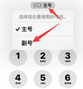 九合垸原种场苹果14维修店分享iPhone 14 Pro Max使用副卡打电话的方法 