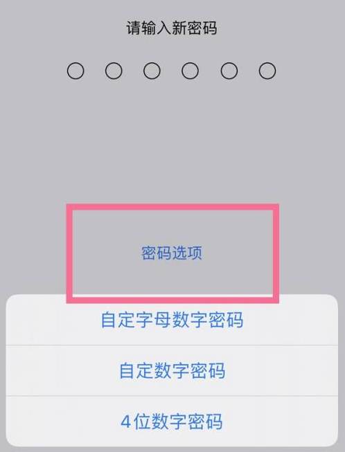 九合垸原种场苹果14维修分享iPhone 14plus设置密码的方法 