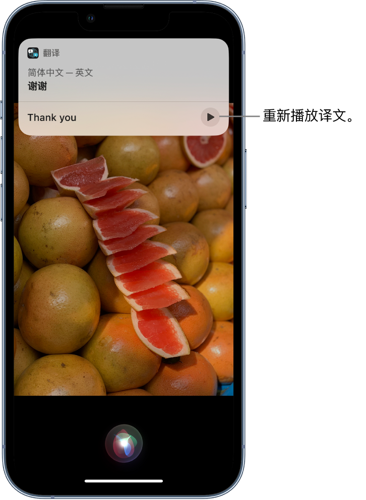 九合垸原种场苹果14维修分享 iPhone 14 机型中使用 Siri：了解 Siri 能帮你做什么 