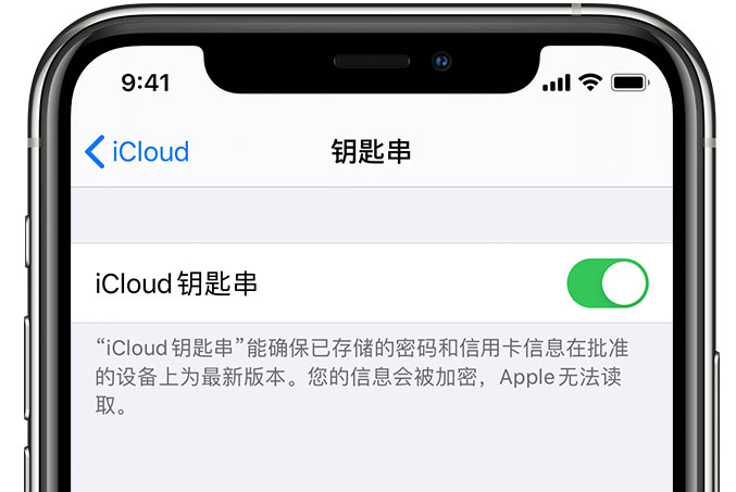 九合垸原种场苹果手机维修分享在 iPhone 上开启 iCloud 钥匙串之后会储存哪些信息 