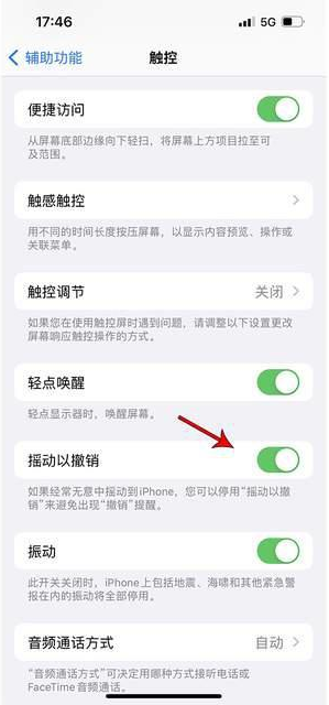 九合垸原种场苹果手机维修分享iPhone手机如何设置摇一摇删除文字 