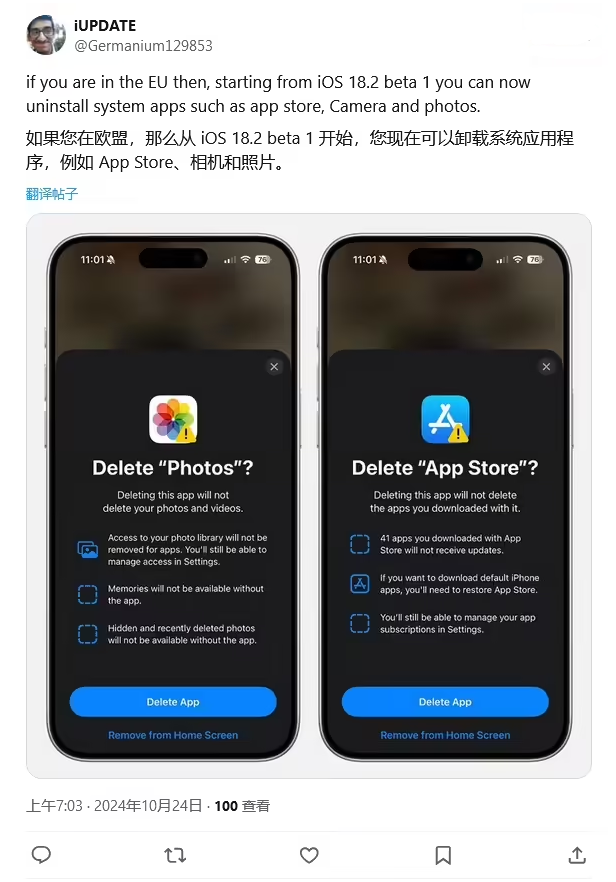 九合垸原种场苹果手机维修分享iOS 18.2 支持删除 App Store 应用商店 