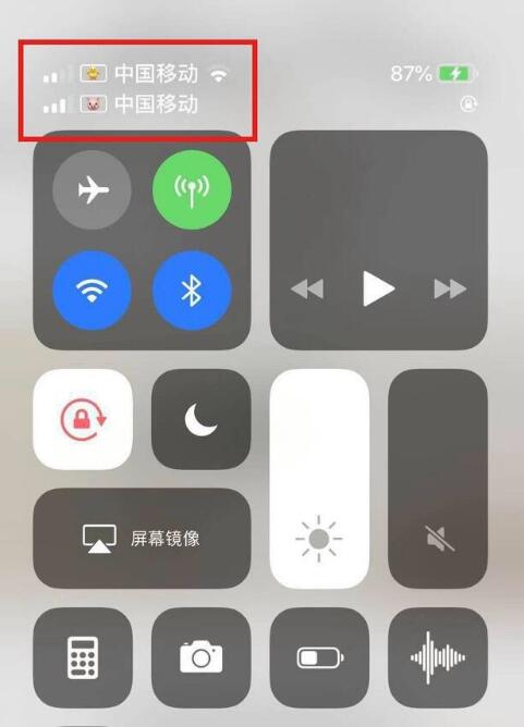 九合垸原种场苹果手机维修分享为 iPhone 12 双卡设置标签 