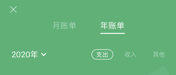 九合垸原种场苹果手机维修分享如何在 iPhone 上查看支付宝和微信年支出账单 