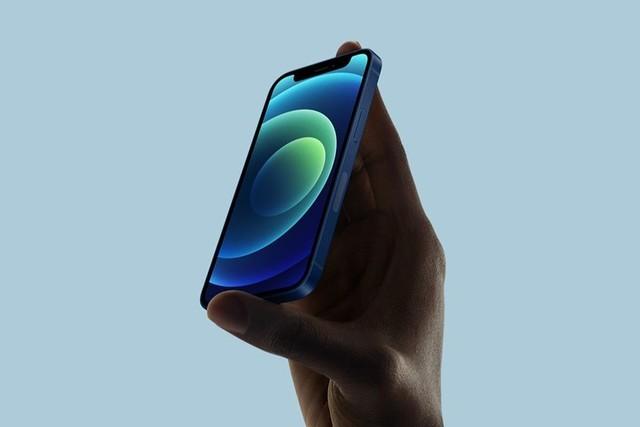 九合垸原种场苹果手机维修分享iPhone 12 mini辐射很大吗 