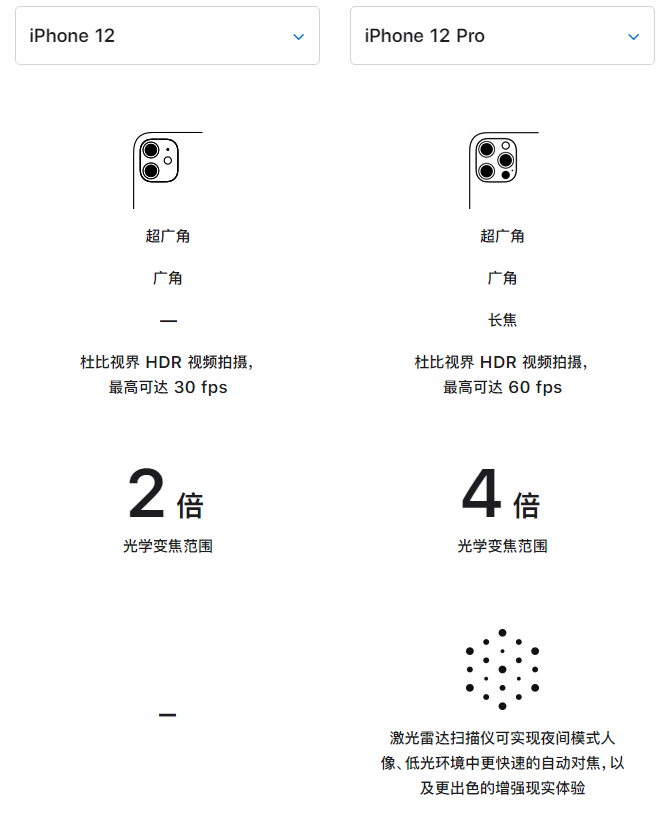 九合垸原种场苹果手机维修分享苹果 iPhone 12 与 iPhone 12 Pro 选哪款 