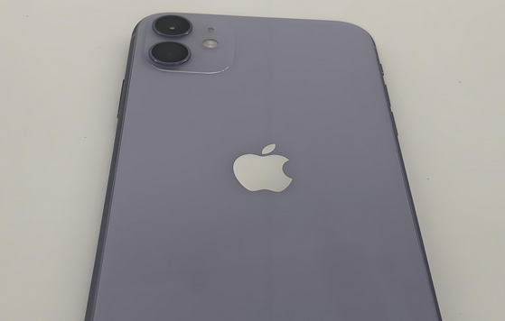 九合垸原种场苹果11系统维修分享iPhone11手机系统崩溃无法开机如何解决 